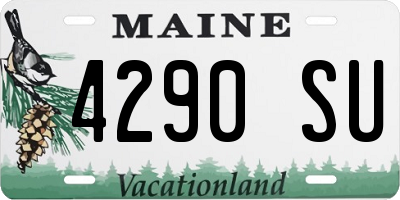 ME license plate 4290SU