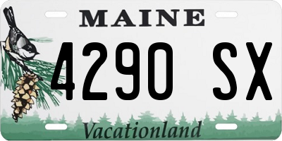 ME license plate 4290SX