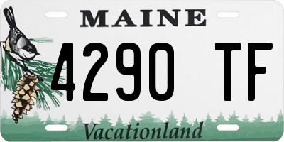 ME license plate 4290TF