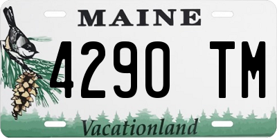 ME license plate 4290TM