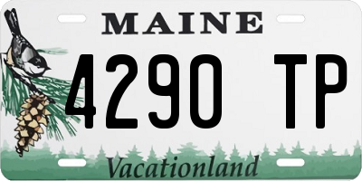 ME license plate 4290TP