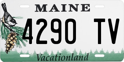 ME license plate 4290TV
