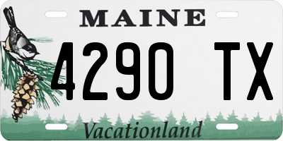 ME license plate 4290TX