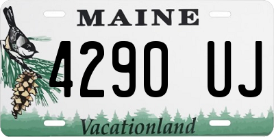 ME license plate 4290UJ
