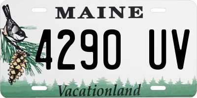 ME license plate 4290UV