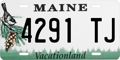 ME license plate 4291TJ