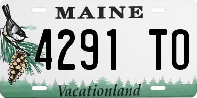 ME license plate 4291TO