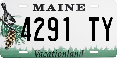 ME license plate 4291TY