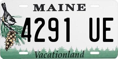 ME license plate 4291UE