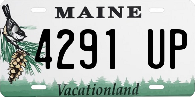 ME license plate 4291UP