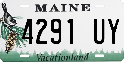 ME license plate 4291UY