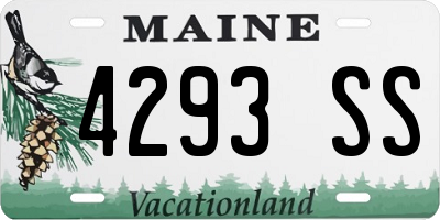 ME license plate 4293SS