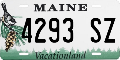 ME license plate 4293SZ