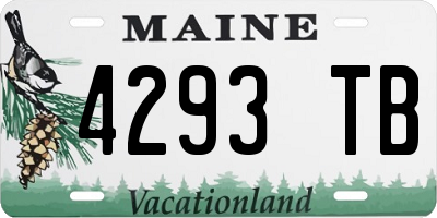 ME license plate 4293TB