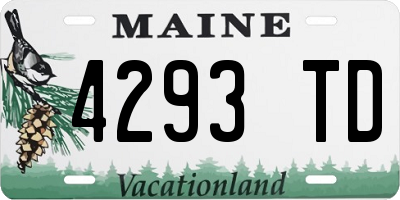 ME license plate 4293TD