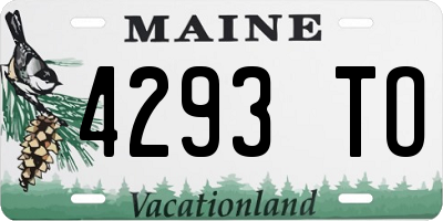 ME license plate 4293TO