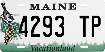 ME license plate 4293TP