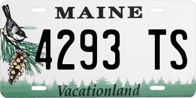 ME license plate 4293TS