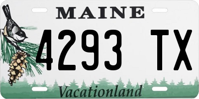 ME license plate 4293TX