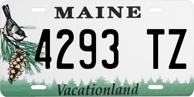 ME license plate 4293TZ