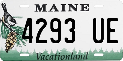 ME license plate 4293UE