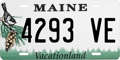 ME license plate 4293VE