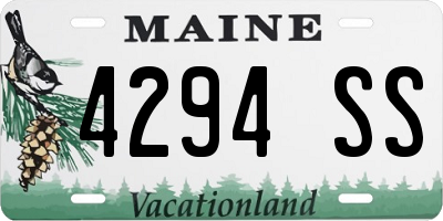 ME license plate 4294SS