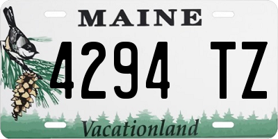 ME license plate 4294TZ