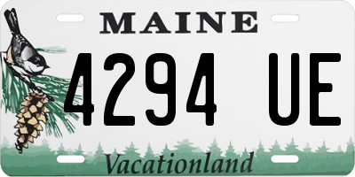 ME license plate 4294UE