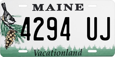ME license plate 4294UJ