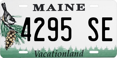 ME license plate 4295SE
