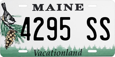 ME license plate 4295SS