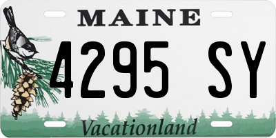 ME license plate 4295SY