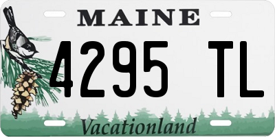 ME license plate 4295TL