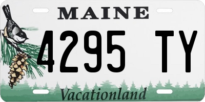 ME license plate 4295TY