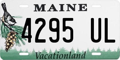 ME license plate 4295UL