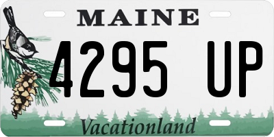 ME license plate 4295UP