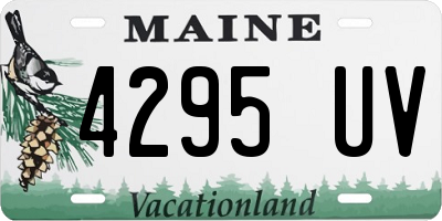 ME license plate 4295UV