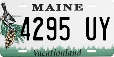 ME license plate 4295UY