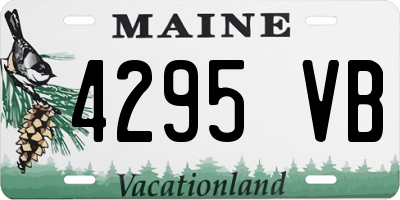 ME license plate 4295VB