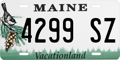 ME license plate 4299SZ