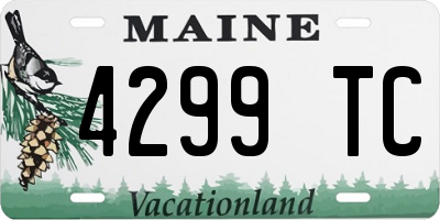 ME license plate 4299TC