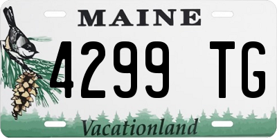ME license plate 4299TG