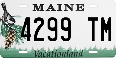 ME license plate 4299TM