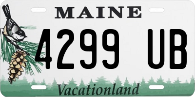 ME license plate 4299UB