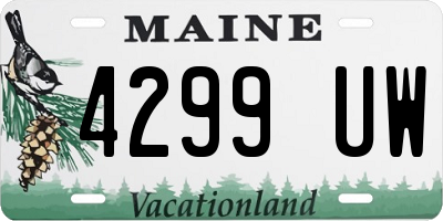 ME license plate 4299UW