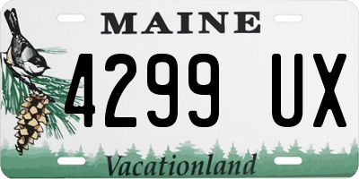 ME license plate 4299UX