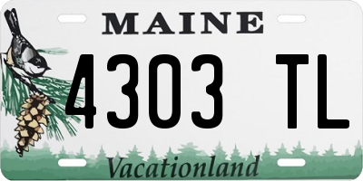 ME license plate 4303TL
