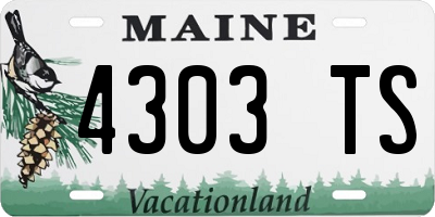 ME license plate 4303TS