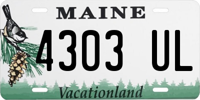 ME license plate 4303UL
